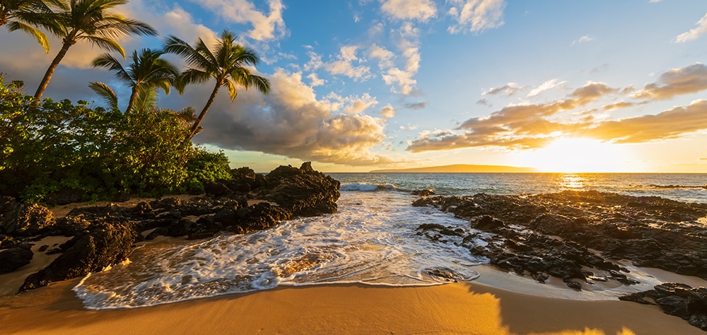 Tropical beach sunset with palm trees, rocky shoreline and dramatic clouds. 