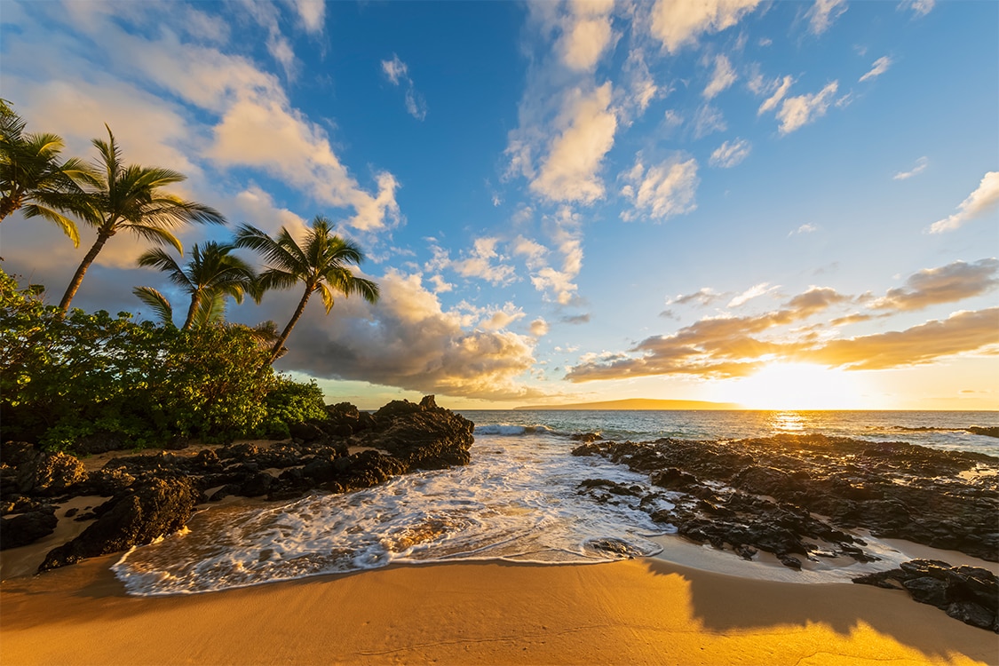 Tropical beach sunset with palm trees, rocky shoreline and dramatic clouds. 