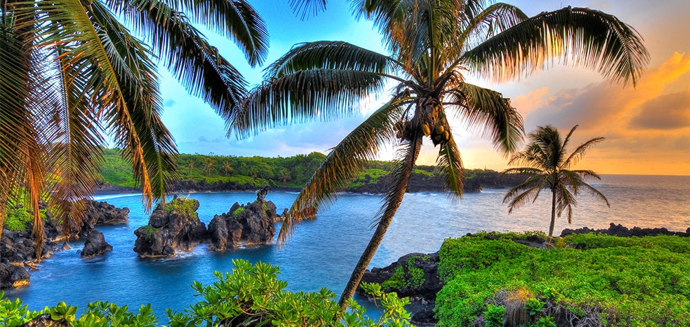 Tropical Maui coatline with palm trees, black lava rocks, and lush tropical greenery. 