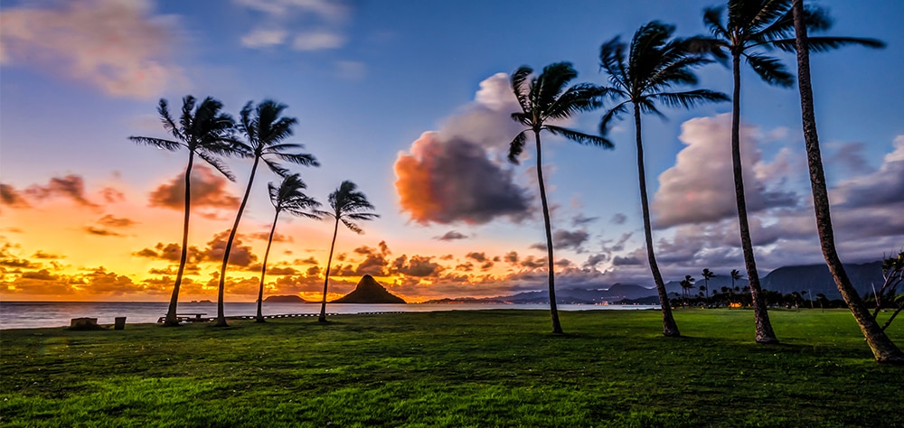 Sunset over palm trees and the Pacific Ocean in Maui with golden sky and tropical landscape. 