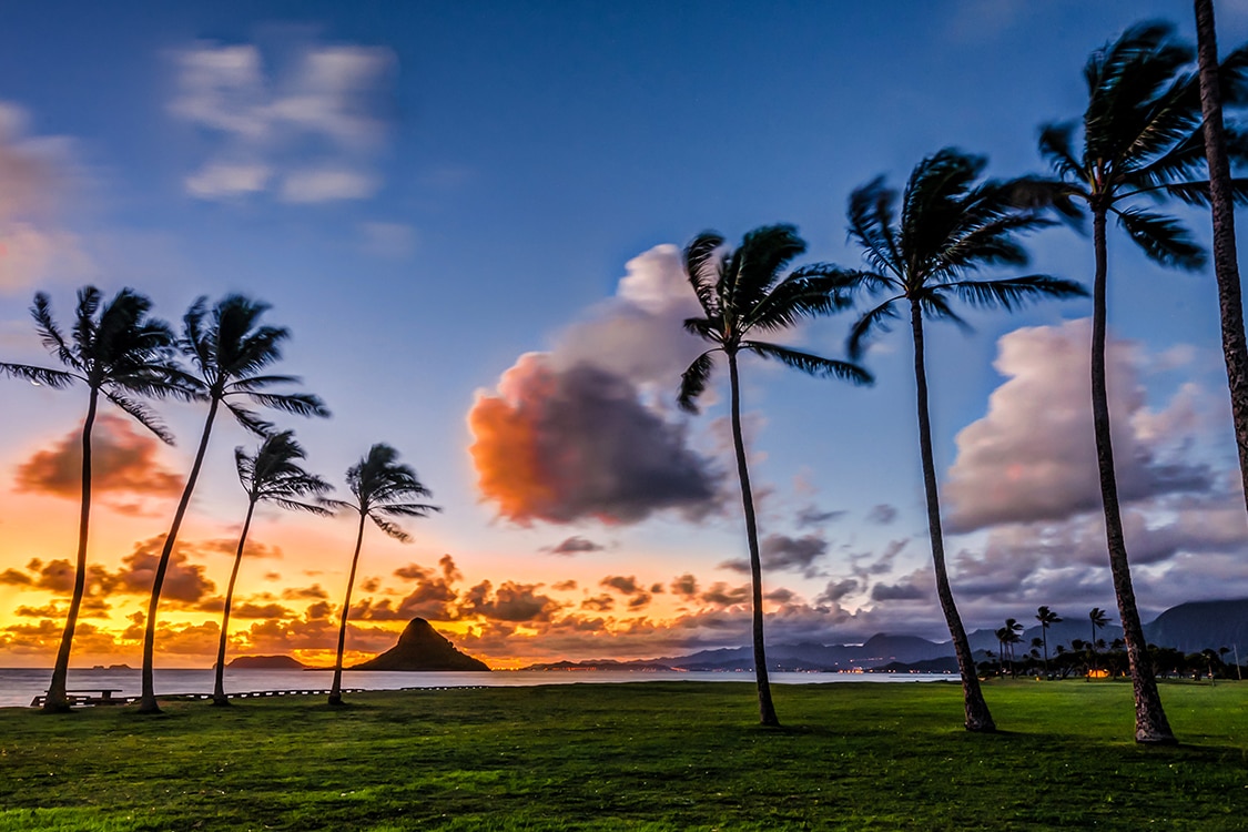 Sunset over palm trees and the Pacific Ocean in Maui with golden sky and tropical landscape. 